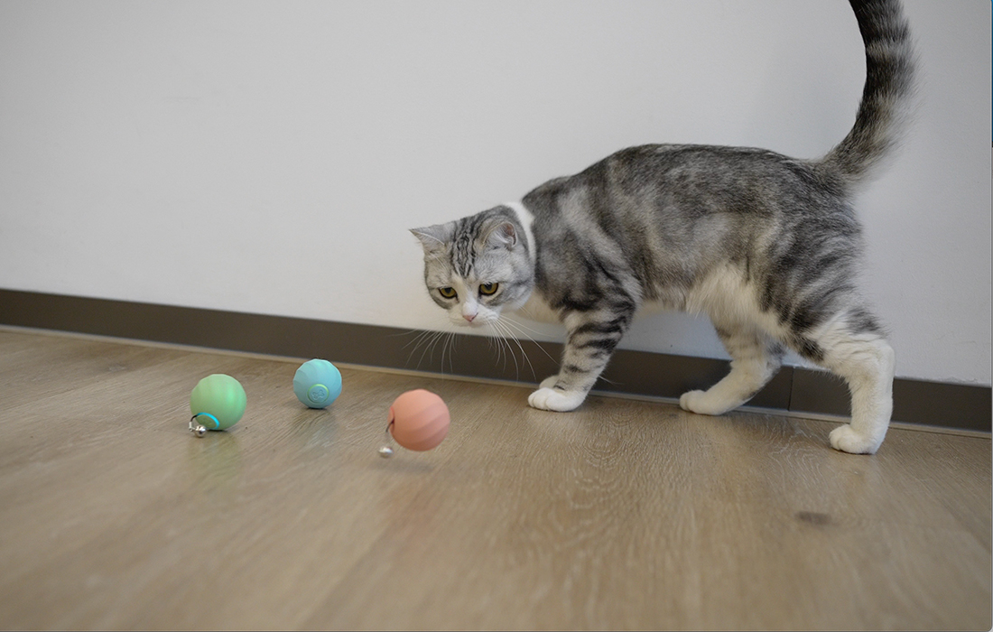 Interaktywna piłka dla psów i kotów Cheerble Ball Ice Cream